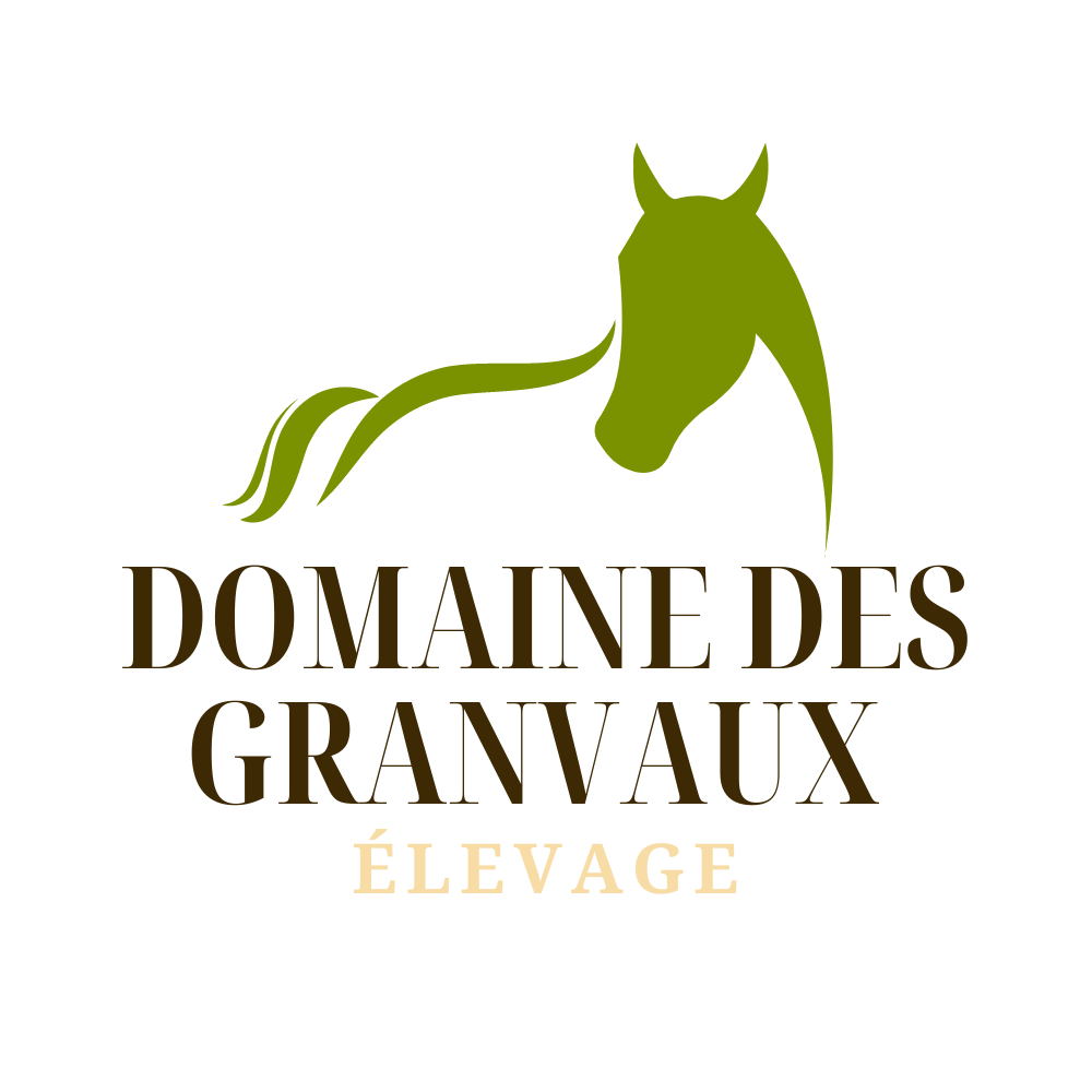 Logo - Domaine des Granvaux