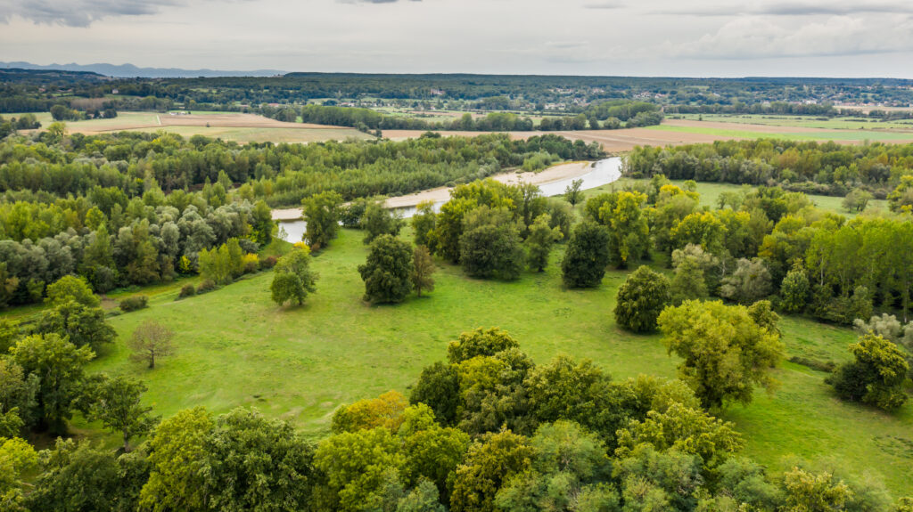 Notre environnement sur 80 hectares de prairies